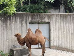 -成都动物园