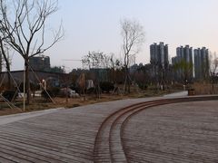 -九里湖国家湿地公园
