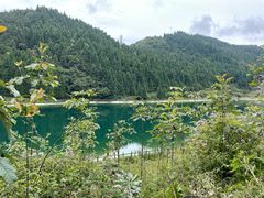 -武陵山森林公园