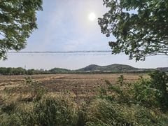 -上海佘山国家森林公园天马山园