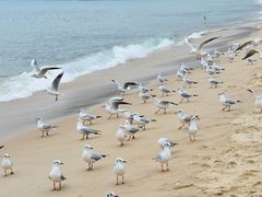 -海云台海滩