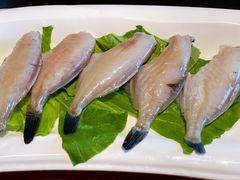 耗儿鱼-山城辣妹子(定福庄店)