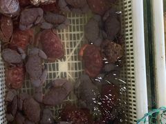 -红月湾海鲜饭店•沙滩海景(双月湾店)