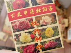 -洛阳市隋唐城遗址植物园