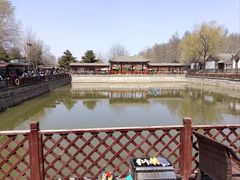 -尚庄度假村·庭台树下·户外烧烤·团建CS·轰趴营地(上庄水库店)