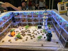 -深圳龙华星河COCO City(民治店)