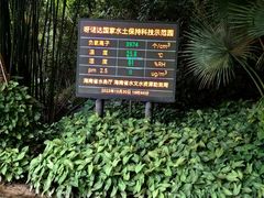 -呀诺达热带雨林