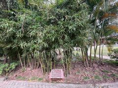 -大湾区中央湿地公园