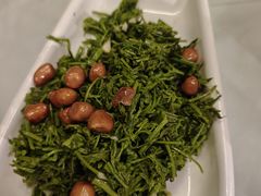 -京北渔家傲