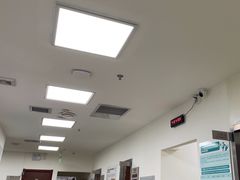 -美联众合动物医院·24h转诊中心