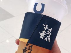 -春丽小马(济南恒隆广场店)