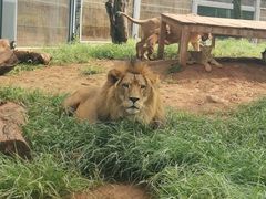 -昆明动物园