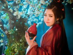 -九月鹰飞汉服摄影工作室