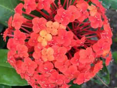 -汕头星城湾欢乐世界