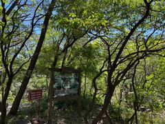 -玉渡山自然风景区