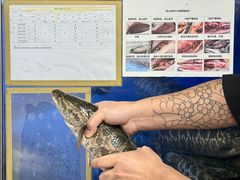 -太二酸菜鱼(银川阅彩城店)