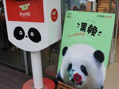 -熊猫邮局(少城店)