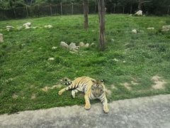 -西安秦岭野生动物园