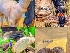 -正佳极地海洋世界
