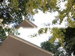 -成都市活水公园