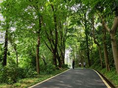 -广州雕塑公园