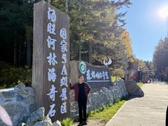-汤旺河林海奇石景区