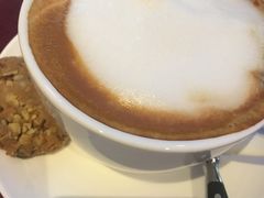 -bluefrog蓝蛙(水游城店)