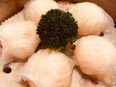 -金苑海鲜酒家(来魅力店)