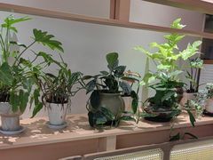 -桂满陇·手作小笼包&江南叫花鸡(中山公园店)