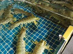 -三亚火车头万人海鲜广场