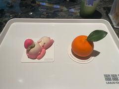 -TD66高山铁皮石斛养生茶饮