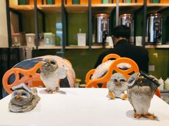 -幸福侯彩擂·奶茶