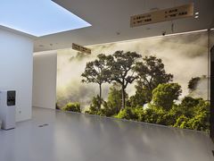 -极简口腔(总院)