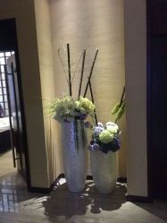 点击看大图 -娇莉芙美颜SPA连锁
