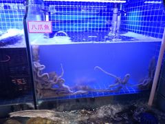 -捞围鲜·港式打边炉(海阳路店)