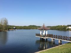 -大塘金香草谷