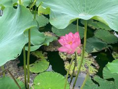 -福州大学(旗山校区)