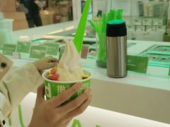 -Salud撒露欧洲冻酸奶(五道口购物中心店)