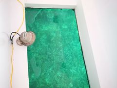 -珊瑚岛