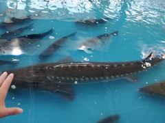 -沈阳国际会展中心管理有限公司