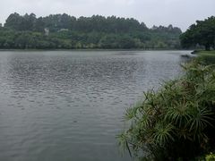 -南国桃园旅游度假区