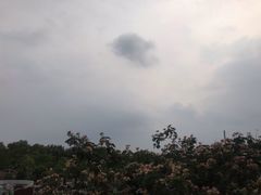 -每日新鲜水果吧(黄浦来福士店)