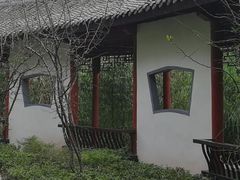 -重庆彩云湖湿地公园