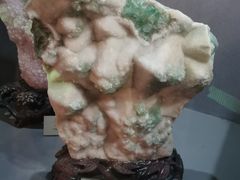 -陕西自然博物馆