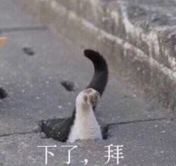 点击看大图 -银星女王公园发型艺术沙龙