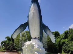 -海合安武汉极地海洋公园