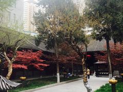 景点-罔极寺