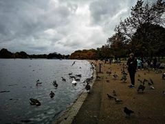 -海德公园