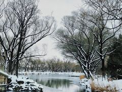 -颐和园