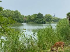 -苏州太湖国家湿地公园